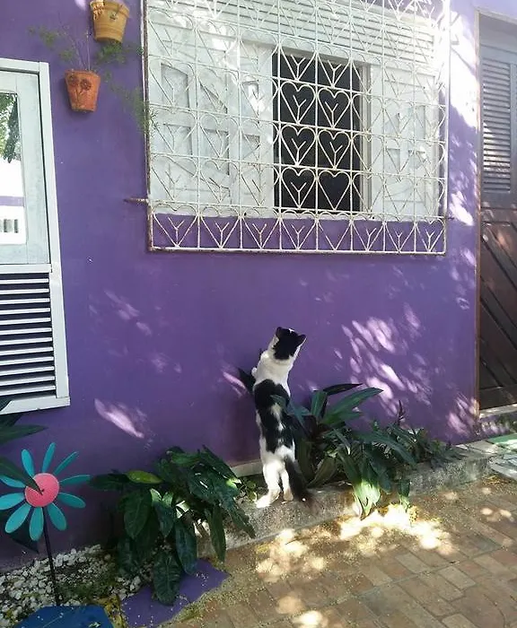 Hostel Margo House-1