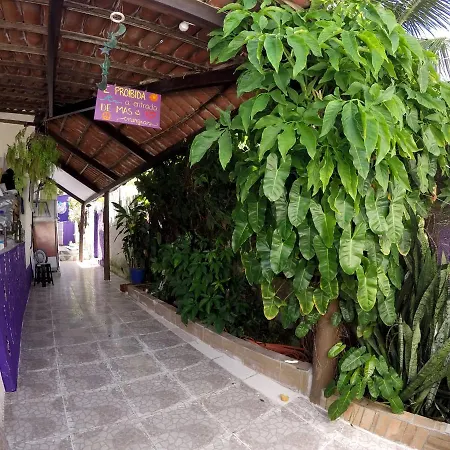 Hostel Margo House-3
